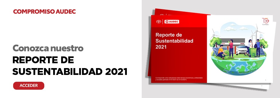 REPORTE DE SUSTENTABILIDAD 2020